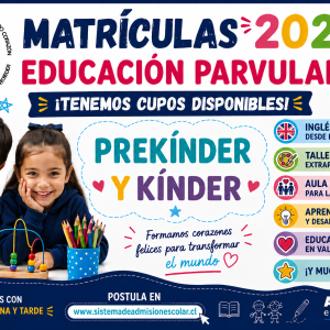 Afiche Pre básica matricula